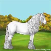 Horse Color:Gray White Spotted Red Dun Splash