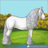 Horse Color:Nacre Buckskin Ice Pearl Splash Appaloosa
