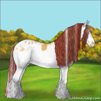 Horse Color:Painted White Spotted Buckskin Splash Appaloosa