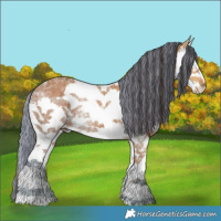 Horse Color:Painted Bay Ice Sabino Splash