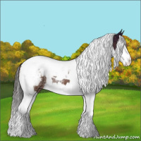 Horse Color:Bay Ice Splash Tobiano Appaloosa Rabicano