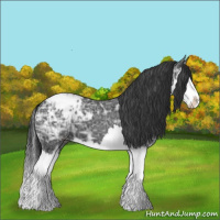 Horse Color:Black Ice Sabino Splash Blanket 