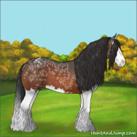 Horse Color:Brown Ice Sabino Splash Appaloosa