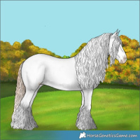 Horse Color:White Spotted Chestnut Ice Sabino Splash Snowcap