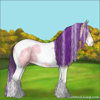 Horse Color:Painted Bay Ice Sabino Tobiano Appaloosa
