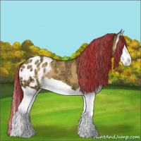 Horse Color:Painted Buckskin Ice Splash Appaloosa