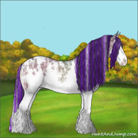 Horse Color:Painted White Spotted Bay Ice Splash Rabicano 