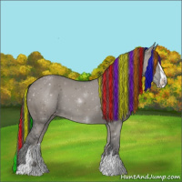 Horse Color:Painted Grullo Sabino Appaloosa 