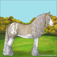 Horse Color:Silver Bay Ice Dun Sabino Splash Varnish