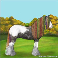 Horse Color:Painted Red Dun Ice Splash Snowcap 