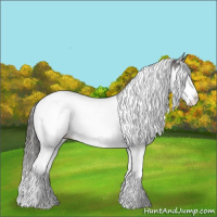 Horse Color:Grullo Ice Splash Tobiano Varnish