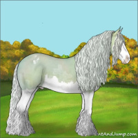 Horse Color:Watercolor Silver Bay Ice Dun Splash Varnish