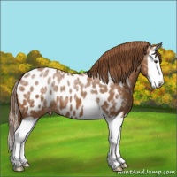 Horse Color:Chestnut Ice Splash Blanket 