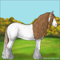 Horse Color:Chestnut Ice Splash Near Fewspot