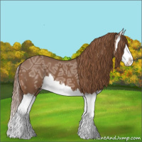 Horse Color:Chestnut Ice Splash 