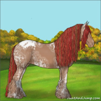 Horse Color:Painted Chestnut Ice Sabino Appaloosa