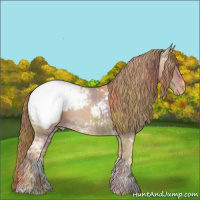 Horse Color:Nacre Chestnut Ice Sabino Varnish 