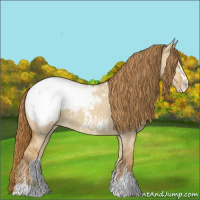 Horse Color:Red Dun Sabino Varnish 