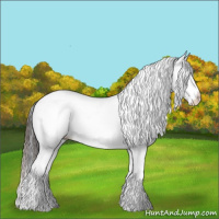 Horse Color:Bay Ice Dun Splash Tobiano Appaloosa 