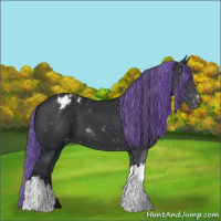 Horse Color:Painted Black Varnish 