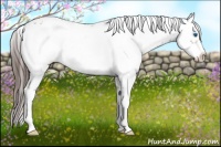 Horse Color:Classic Champagne Frame