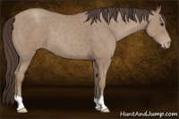 Horse Color:Classic Champagne 