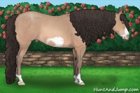 Horse Color:Amber Champagne Frame 