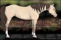 Horse Color:Amber Champagne Dun 