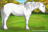 Horse Color:Gray Bay Tobiano Rabicano 