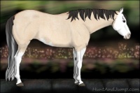 Horse Color:Bay Roan Dun Splash 
