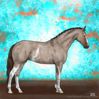 Horse Color:White Spotted Liver Red Dun Roan 