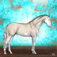 Horse Color:White Spotted Silver Classic Champagne Dun Splash 