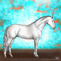 Horse Color:Gray White Spotted Liver Red Dun 