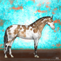 Horse Color:Buckskin Dun Splash Tobiano 