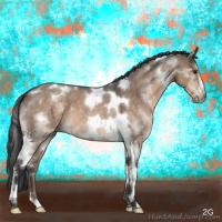 Horse Color:Brown Roan Dun Tobiano Frame 