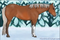 Horse Color:Silver Bay 