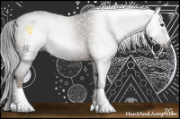 Horse Color:Gray Liver Chestnut Sabino Rabicano