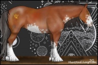 Horse Color:Brown Sabino