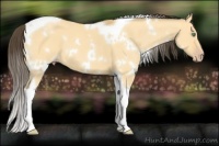 Horse Color:White Spotted Amber Cream Champagne Dun Tobiano 