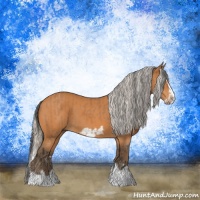 Horse Color:Bay Splash Frame  and Silver Bay Splash Frame 