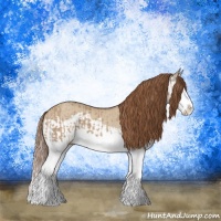Horse Color:Red Dun Splash and Red Dun Splash