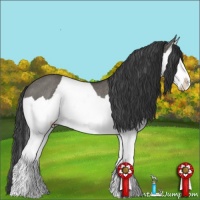 Horse Color:Grullo Splash Rabicano 