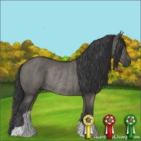 Horse Color:Grullo Rabicano 