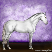 Horse Color:Gray Void Chocolate Palomino Sabino 