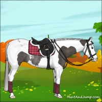 Horse Color:Smoky Black Splash Tobiano Rabicano