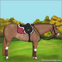 Horse Color:Chestnut Rabicano 