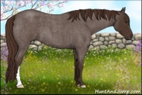 Horse Color:Liver Red Roan 