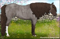 Horse Color:Liver Red Roan 