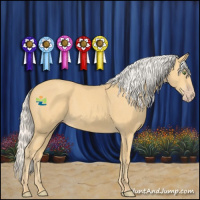 Horse Color:Silver Classic Cream Champagne 