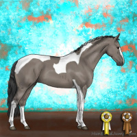 Horse Color:Grullo Sabino Tobiano 